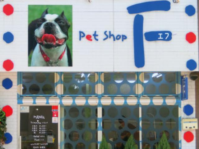 Pet Shop F