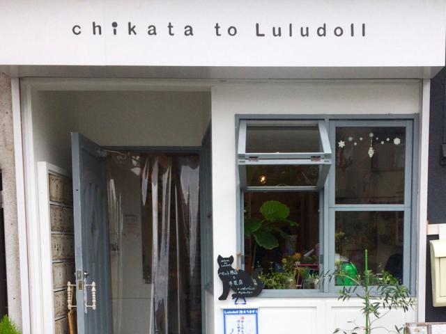 chikata to luludoll