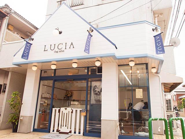 dog salon LUCIA