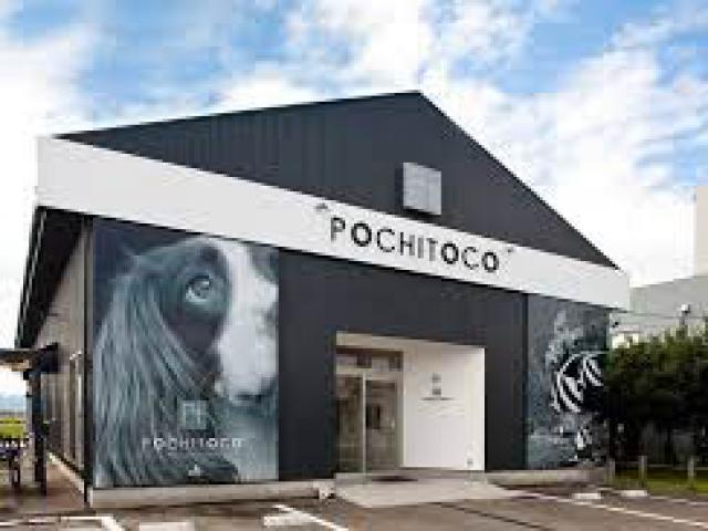 POCHITOCO