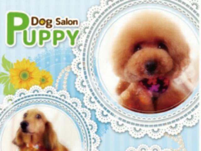 DogSalonPuppy